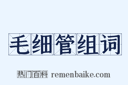 毛细管组词是什么意思的图片